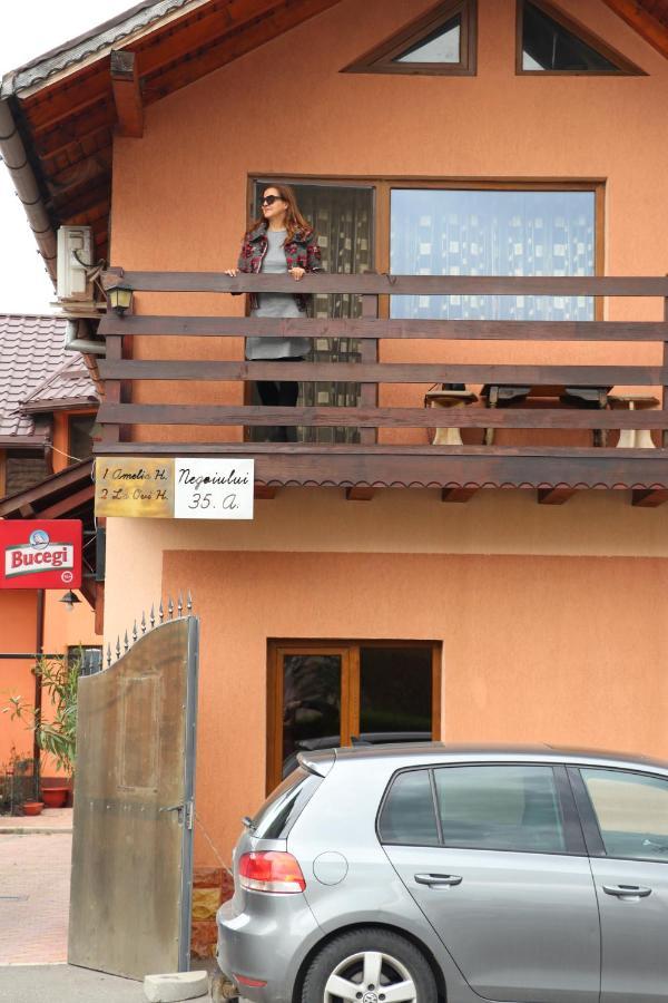 فندق Amelia House Făgăraş المظهر الخارجي الصورة